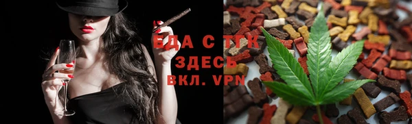 индика Кодинск