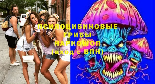 индика Кодинск
