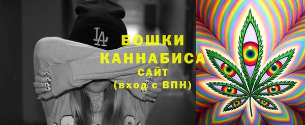 индика Кодинск