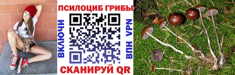 Купить  Бодайбо  Галлюциногенные грибы GOLDEN TEACHER 
